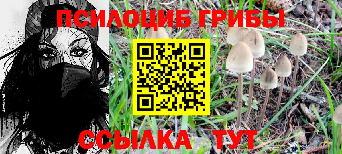 Псилоцибиновые грибы Cubensis Нижневартовск
