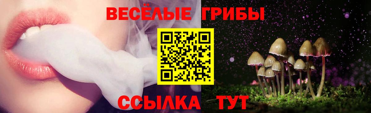 Галлюциногенные грибы прущие грибы  Галлюциногенные грибы Magic Shrooms  Нижневартовск  Вход с VPN 